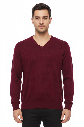 Burgundy Slim Fit Dot Patterned V-Neck Sweater – Wessi