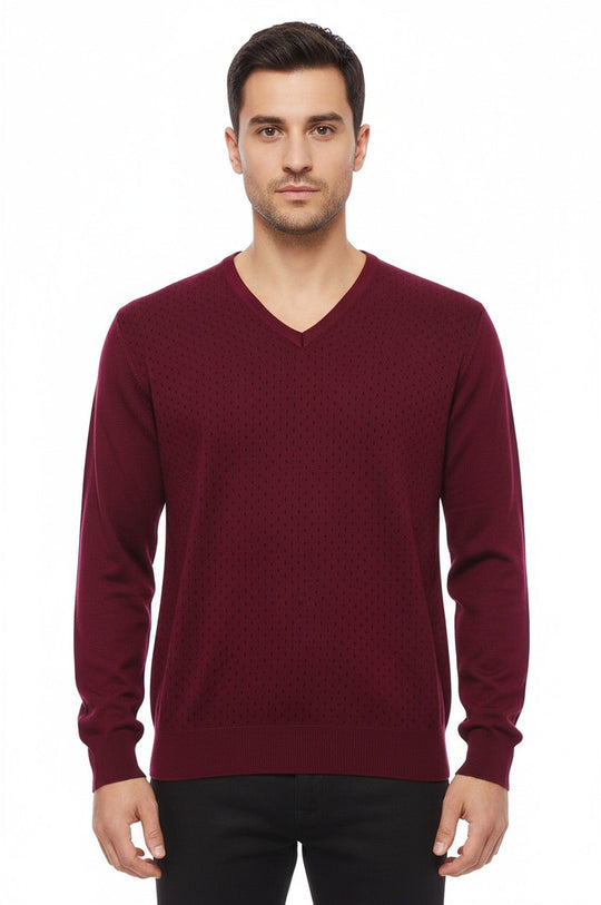 Burgundy Slim Fit Dot Patterned V-Neck Sweater – Wessi