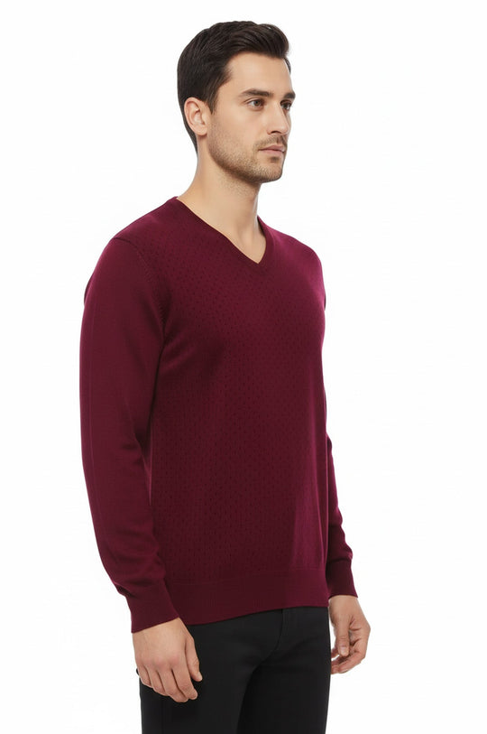 Burgundy Slim Fit Dot Patterned V-Neck Sweater – Wessi