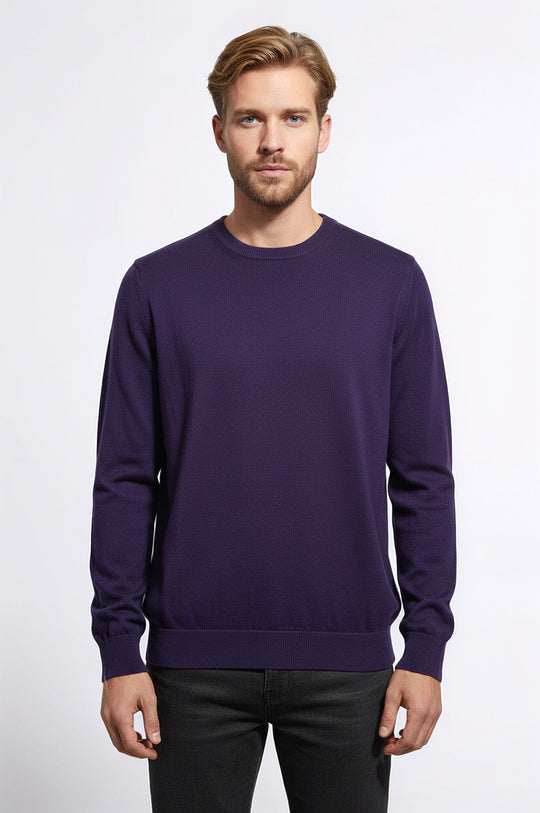 Purple Slim Fit Crew Neck Cotton Knit Jumper | Wessi