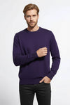 Purple Slim Fit Crew Neck Cotton Knit Jumper | Wessi