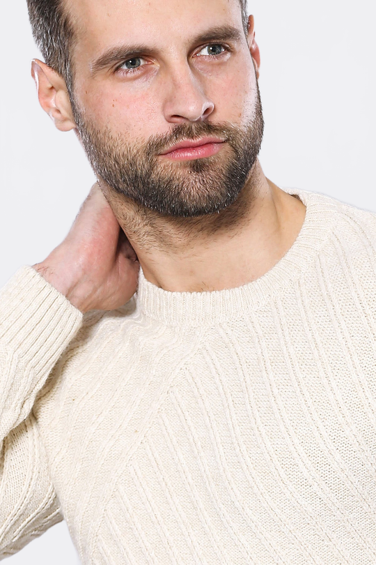 Cream Slim Fit Patterned Crew Neck Sweater – Wessi